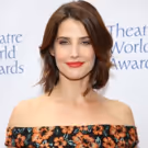 ABC Orders Cobie Smulders-Led Drama to Series