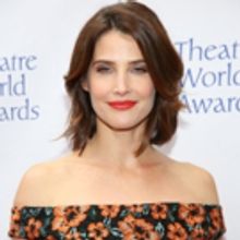 ABC Orders Cobie Smulders-Led Drama to Series
