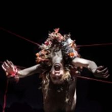 BWW Review: JV2, Sadler's Wells Theatre