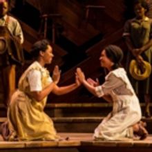 BWW Review: THE COLOR PURPLE Falls Short at Kennedy Center Despite Some Amazing Perf