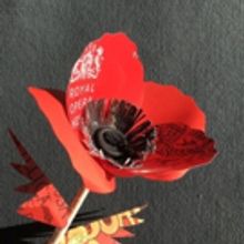 Royal Opera House's Immersive Arts Festival Marks The World War I Centenary