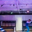 BWW Review: TWELFTH NIGHT, OR WHAT YOU WILL at Burbage Theatre