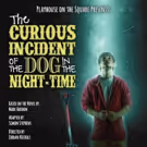 Playhouse on the Square's Regional Premiere of THE CURIOUS INCIDENT OF THE DOG IN…