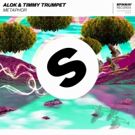 Alok & Timmy Trumpet Release METAPHOR Via Spinnin' Records
