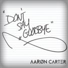 Aaron Carter's New Single 'Don't Say Goodbye' Out Today