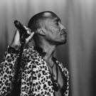 Raphael Saadiq Announces Summer Tour Dates, Pitchfork Festival Performance