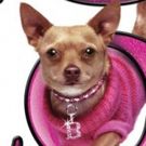 LEGALLY BLONDE Comes To Belgrano Day School 6/22 Through 6/30