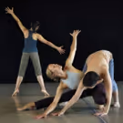 Choreographer Susan Vencl Brings Critical Junctures, Her Fifth Evening Length Work…