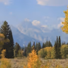 NATIONAL PARK FOUNDATION Partners with Nature Valley