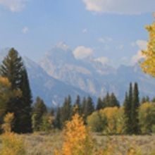 NATIONAL PARK FOUNDATION Partners with Nature Valley