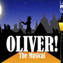 Laguna Playhouse Partners with TDF's National Captioning Initiative for 'ALADDIN', OL