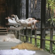 Pontine Presents Peter Dimuro's PUBLIC DISPLAYS OF MOTION