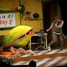 BWW Review: LITTLE SHOP OF HORRORS at Alhambra Theatre And Dining