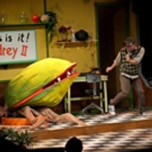 BWW Review: LITTLE SHOP OF HORRORS at Alhambra Theatre And Dining