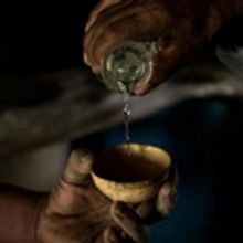 Scottsdale Center for the Performing Arts Presents AGAVE: THE SPIRIT OF A NATION