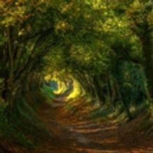 The Shakespeare Project of Chicago to Present Free Readings of AS YOU LIKE IT