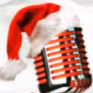 BWW Review: A DOO WOP CHRISTMAS BRINGS HOLIDAY CHEER to Show Palace Dinner Theatre