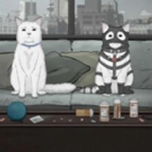 HBO's Animated Series ANIMALS Returns With Third Season August 3