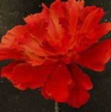 HADESTOWN Leads November's Top 10 New London Shows