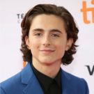 Robert Pattinson, Sean Harris, & More Join Timothee Chalamet in Upcoming Netflix Period Drama THE KING