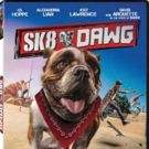 SK8 DAWG Starring Joey Lawrence Comes to Digital and DVD