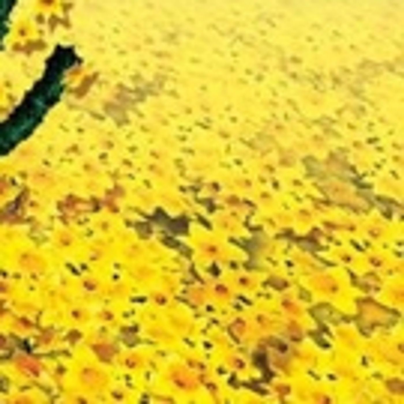 Brief 5/18: Drama League Awards, Idina Menzel on UNDERCOVER BOSS, and More!  Image