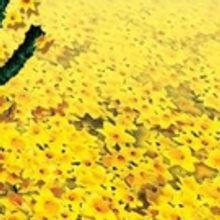 Pittsburgh Community Theatre Cancels BIG FISH Following Director's Inclusion Of Gay E