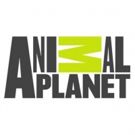 Animal Planet's VET GONE WILD Premieres Sunday, June 10