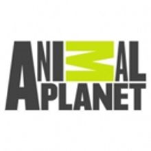 Animal Planet's VET GONE WILD Premieres Sunday, June 10