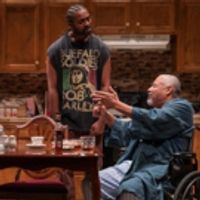 BWW Review: BETWEEN RIVERSIDE AND CRAZY: Seeking Asylum on the Upper West Side Photo