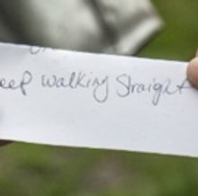 Guest Blog: Daniele Bartolini On THE CURIOUS VOYAGE