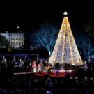 National Christmas Tree to Be Lit in President's Park 11/30