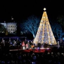 National Christmas Tree to Be Lit in President's Park Today
