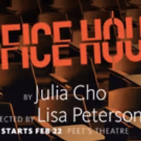 VIDEO: Hear Director Lisa Peterson Give Her Thoughts on OFFICE HOUR at Berkeley Rep! Video