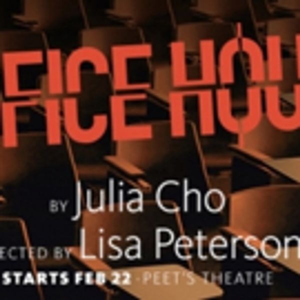 VIDEO: Hear Director Lisa Peterson Give Her Thoughts on OFFICE HOUR at Berkeley Rep! - San Francisco / Bay Area Theater Video