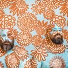 Epic Beard Men Release THIS WAS SUPPOSED TO BE FUN Today & Launch U.S. Tour Next Week