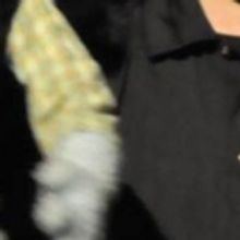 BWW Review: AVENUE Q at Syosset Cultural Arts Playhouse