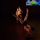 Green Space Announces a Diverse Roster of Artists for its Signature Programs this…