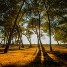 UNUM Festival to Host Ricardo Villalobos, Margaret Dygas, Sonja Moonear, Petre…