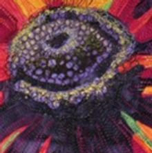 CONTINUUM: A Unique Fiber Art Exhibit This Week