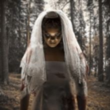 Louis Viljoen's Gripping Comedy-Horror, THE DEMON BRIDE, Comes To The Fugard Theatre