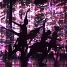 BWW Review: Troy Schumacher's TRANSLATION at Skirball Hall, October 27, 2017