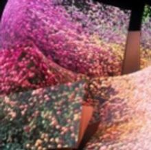 The Los Angeles Philharmonic Presents WDCH DREAMS Celebrating The LA Phil's 100th…