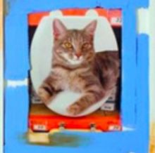 Rochelle Feinstein: Image Of An Image Comes to Bronx Museum Of The Arts