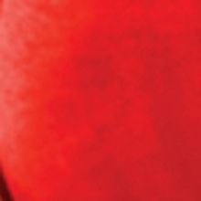 STEEL MAGNOLIAS Comes to Popejoy Hall