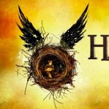 HARRY POTTER und das verwunschene Kind kommt nach Deutschland!