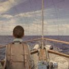 DC Organizations Announce Launch of THE HUMAN JOURNEY