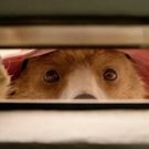 VIDEO: Watch Just-Released Trailer for PADDINGTON 2