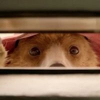 VIDEO: Watch Just-Released Trailer for PADDINGTON 2 Video