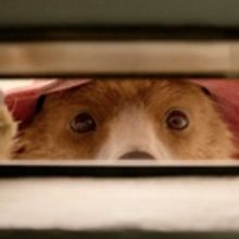  VIDEO: Watch Just-Released Trailer for PADDINGTON 2
